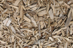 biomass boilers Burrswood